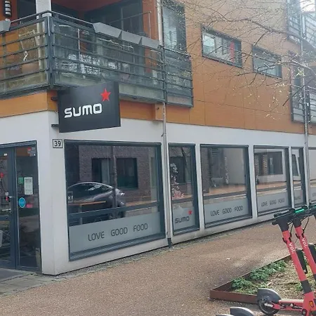 Bergen City Apartment * Μπέργκεν