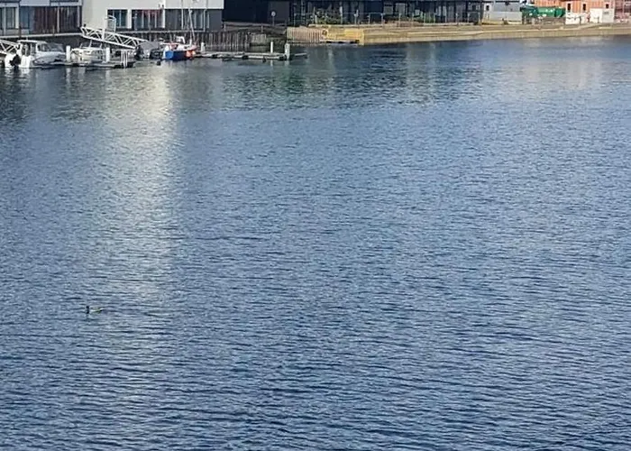 Bergen City Apartment Διαμέρισμα Μπέργκεν